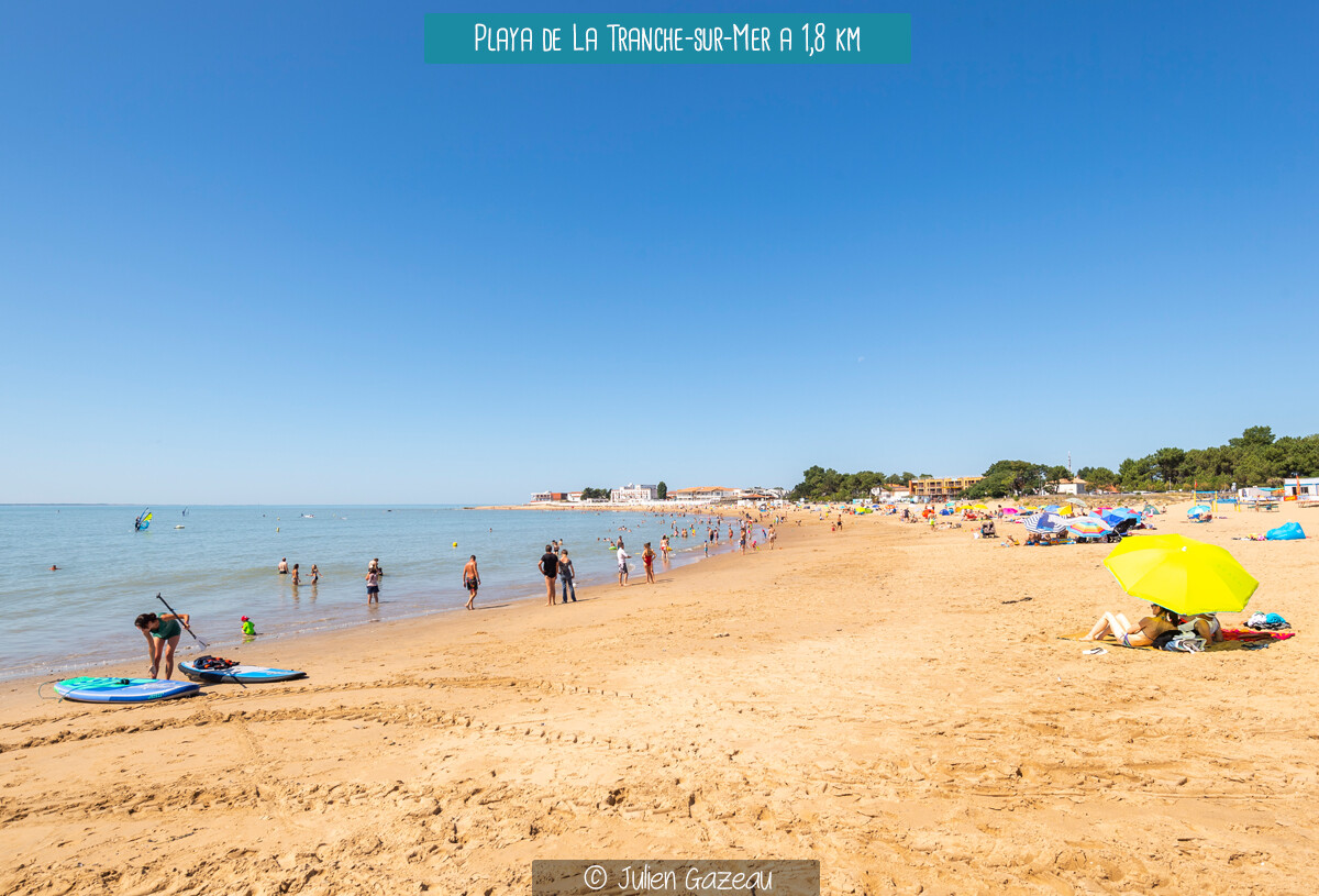 03_blancs_chenes_2025_es-80934447_0.jpg