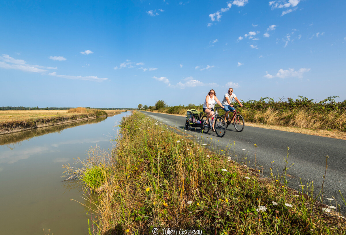 30_slider-19-bc-velos-78807329_0.jpg